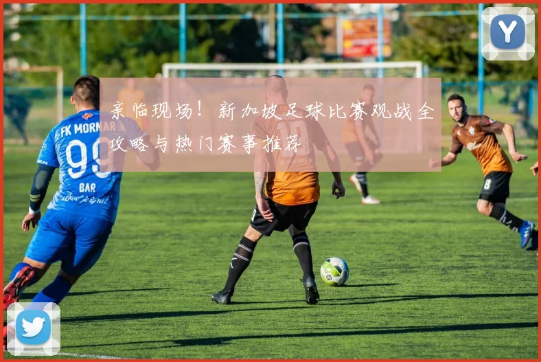 亲临现场!新加坡足球比赛观战全攻略与热门赛事推荐