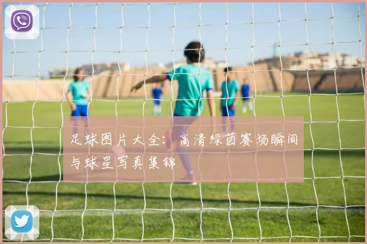 足球图片大全:高清绿茵赛场瞬间与球星写真集锦